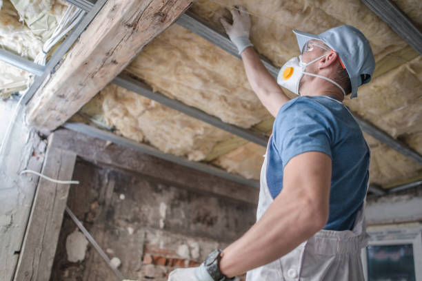 Best DIY Insulation Kits and Guidance in Versailles, MO
