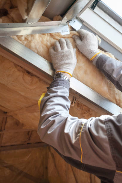 Best Spray Foam Insulation in Versailles, MO