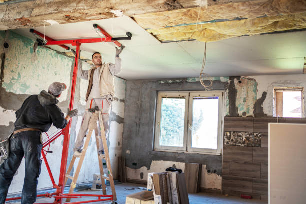 Best Specialized Insulation Services in Versailles, MO
