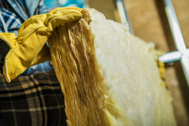Best Insulation Maintenance and Repair in Versailles, MO