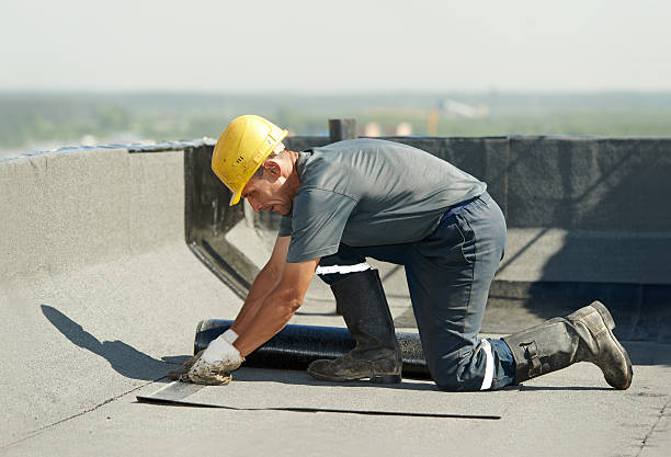 Best Fiberglass Insulation in Versailles, MO